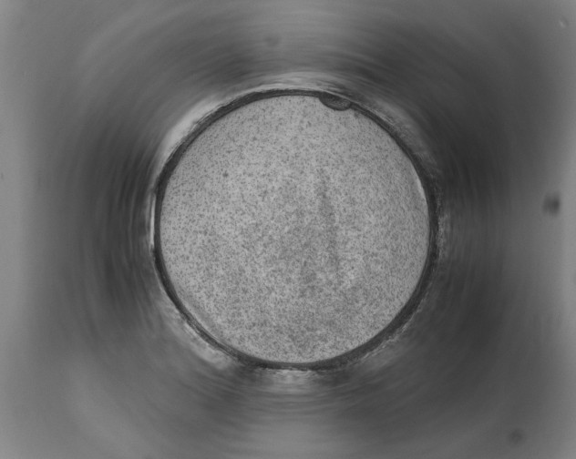 X0000114661180200911101336