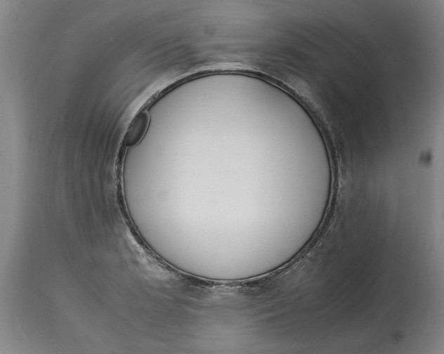 X0000114661181200911101336