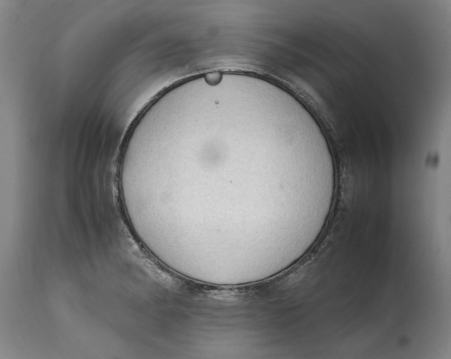 X0000114661182200911101336