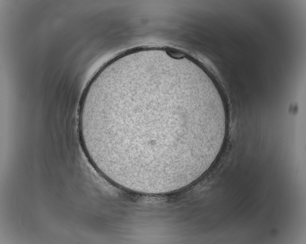 X0000114661183200911101336