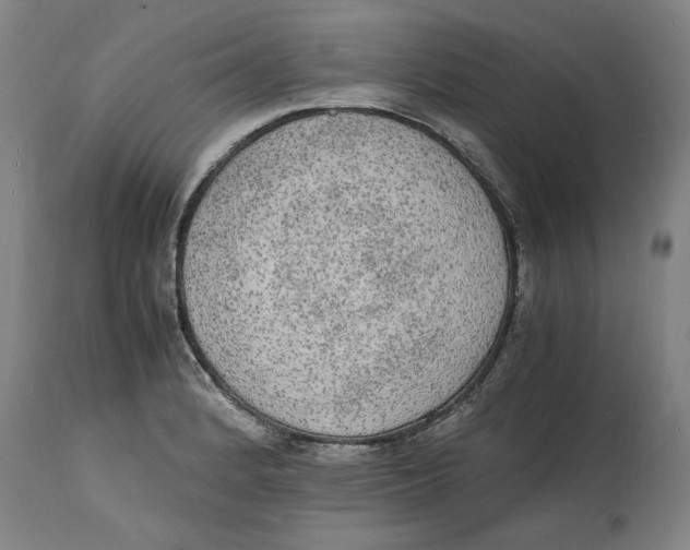 X0000114661184200911101336