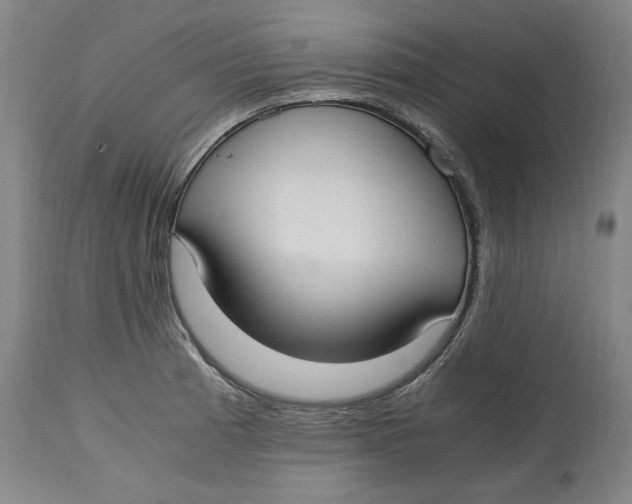 X0000114661185200911101336