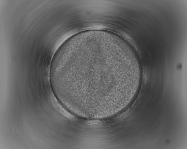 X0000114661186200911101336