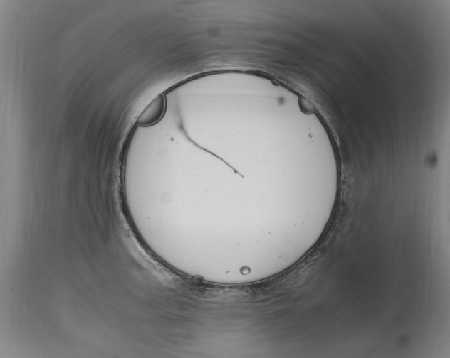 X0000114661187200911101336