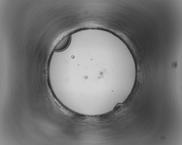 X0000114661191200911101336