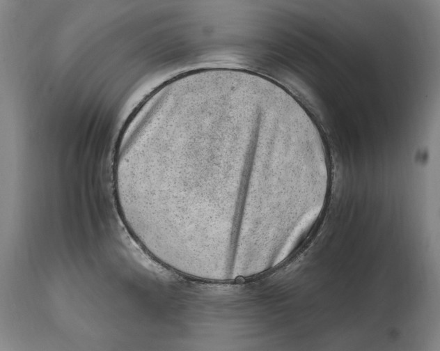 X0000114661192200911101336