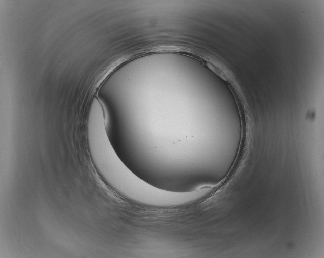 X0000114661193200911101336