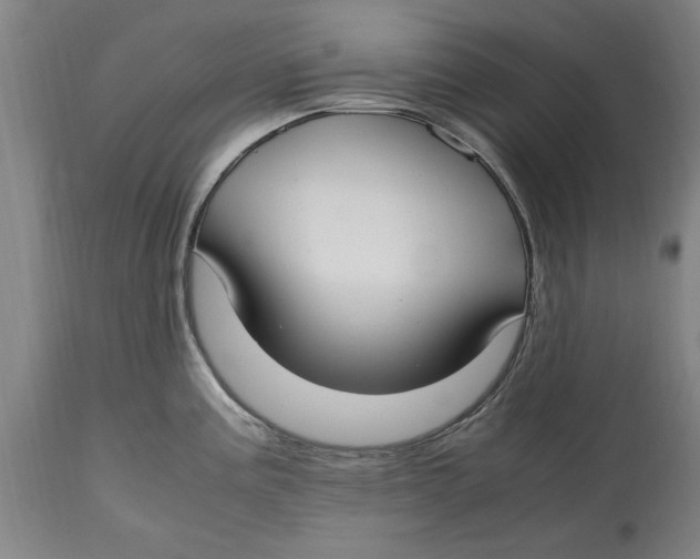 X0000114661195200911101336