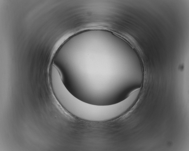 X0000114661196200911101336