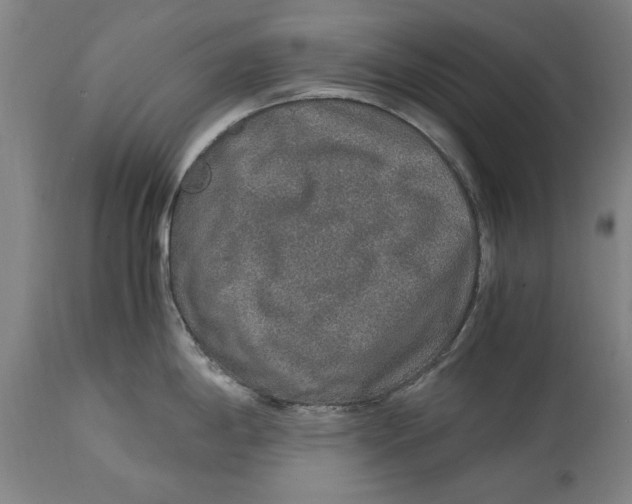 X0000114661198200911101336