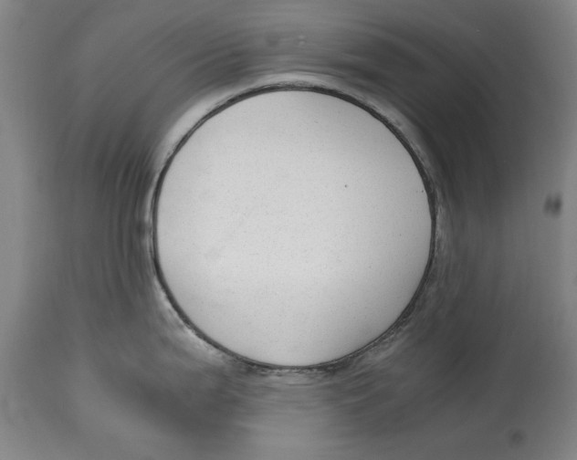 X0000114661199200911101336