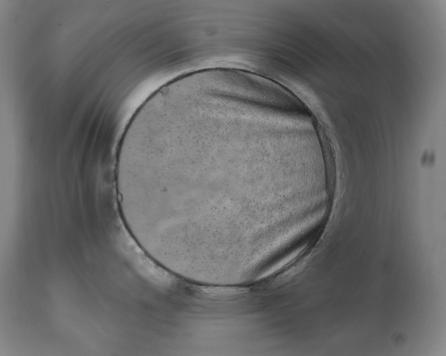 X0000114661200200911101336