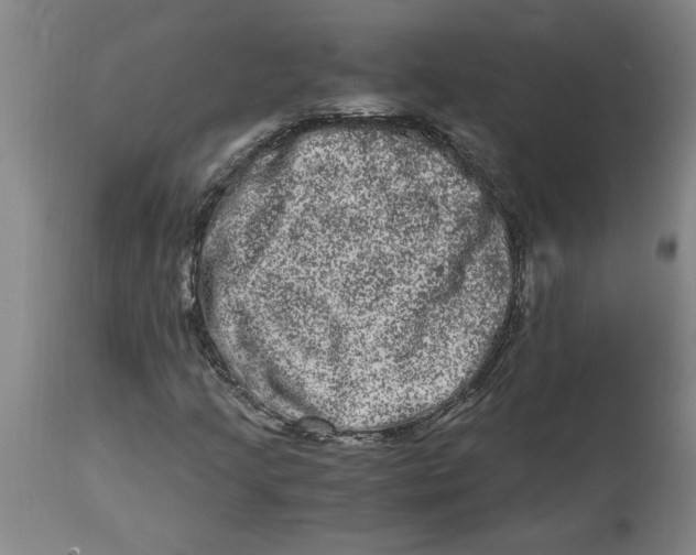 X0000114661205200911101335