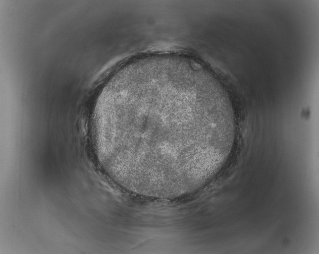 X0000114661206200911101335