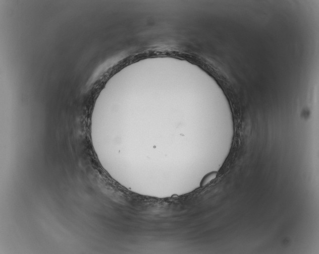 X0000114661207200911101335