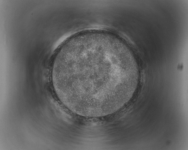 X0000114661208200911101335