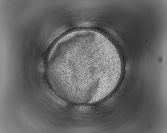 X0000114661209200911101335