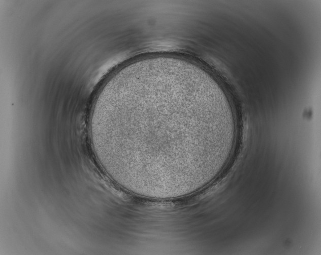 X0000114661210200911101335