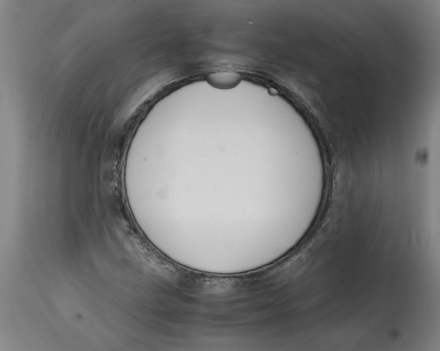 X0000114661211200911101335