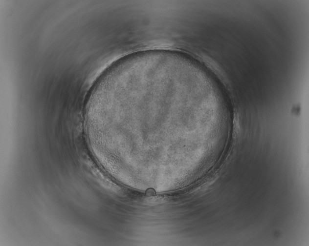 X0000114661212200911101335