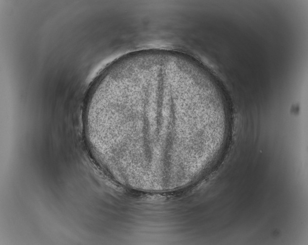 X0000114661214200911101335