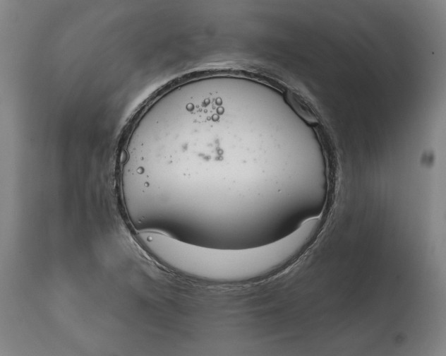 X0000114661216200911101335