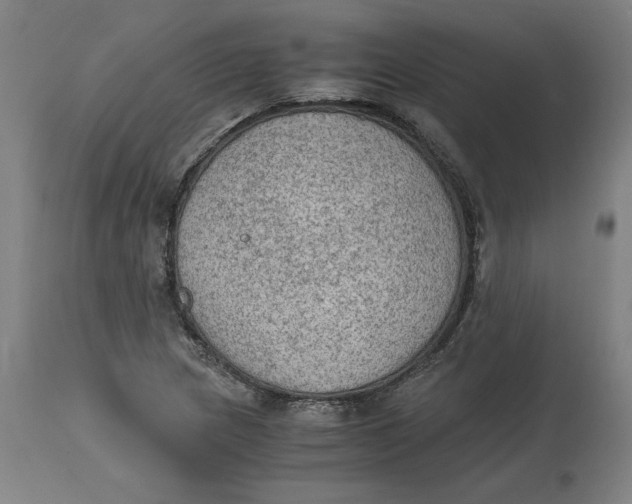 X0000114661217200911101335