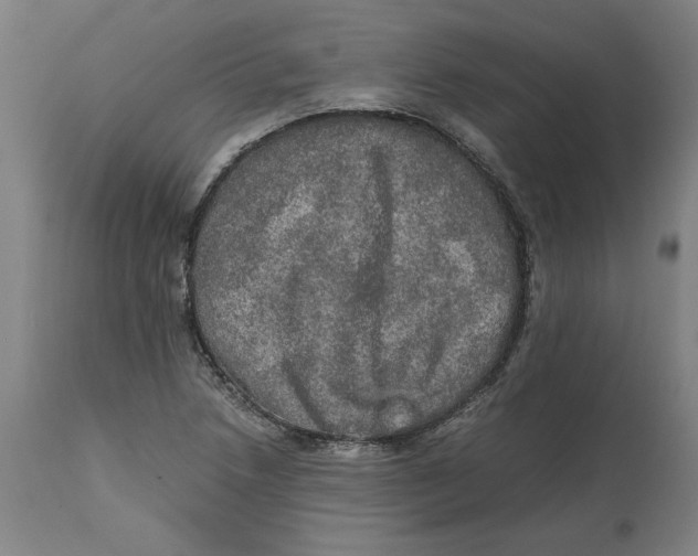 X0000114661218200911101335