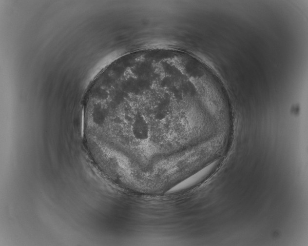 X0000114661219200911101335