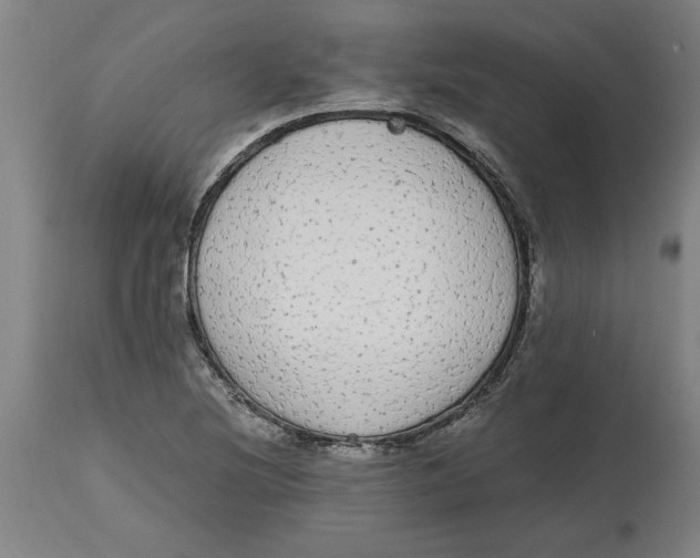 X0000114661220200911101335