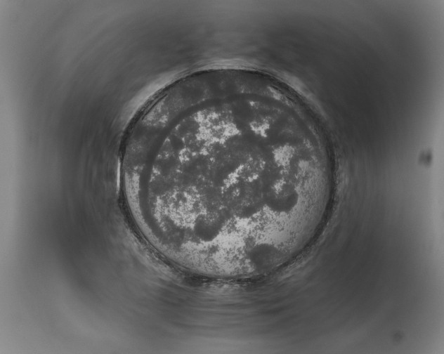 X0000114661221200911101335