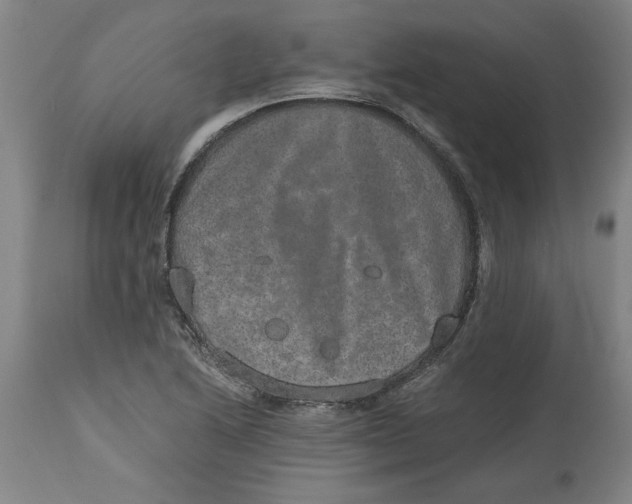 X0000114661222200911101335