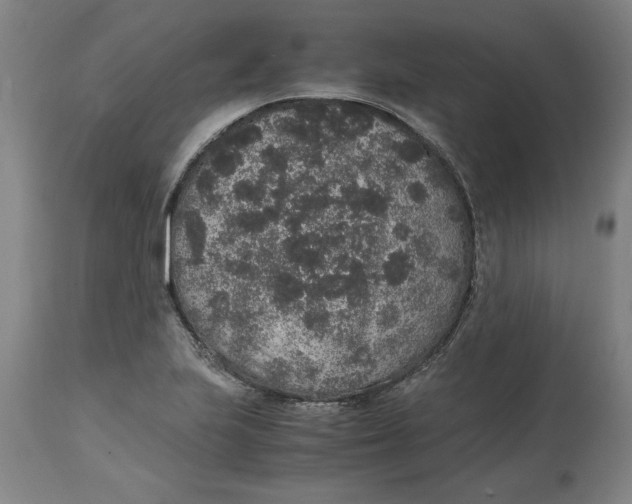 X0000114661223200911101336