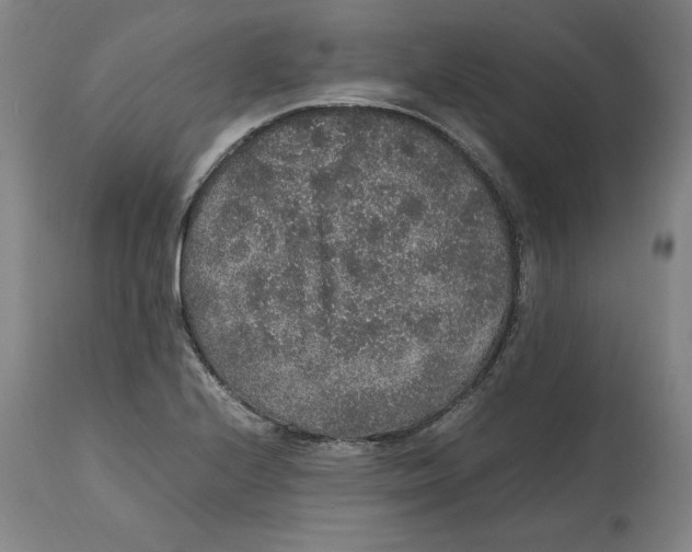 X0000114661224200911101336