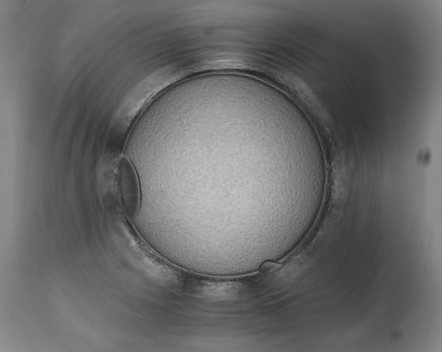 X0000114661225200911101336