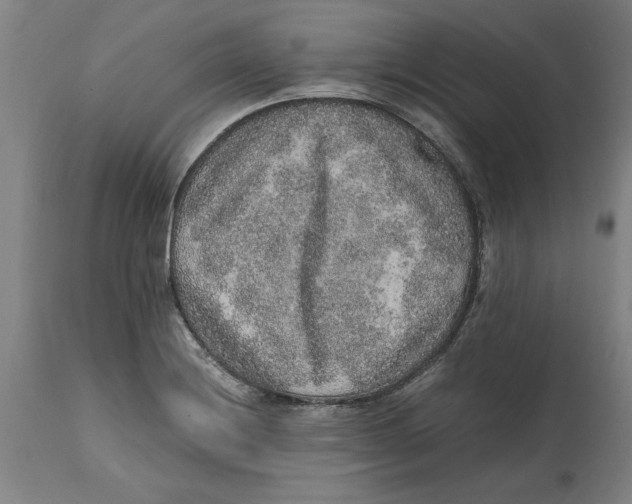 X0000114661228200911101336