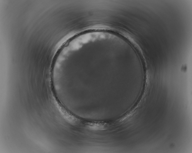 X0000114661229200911101336