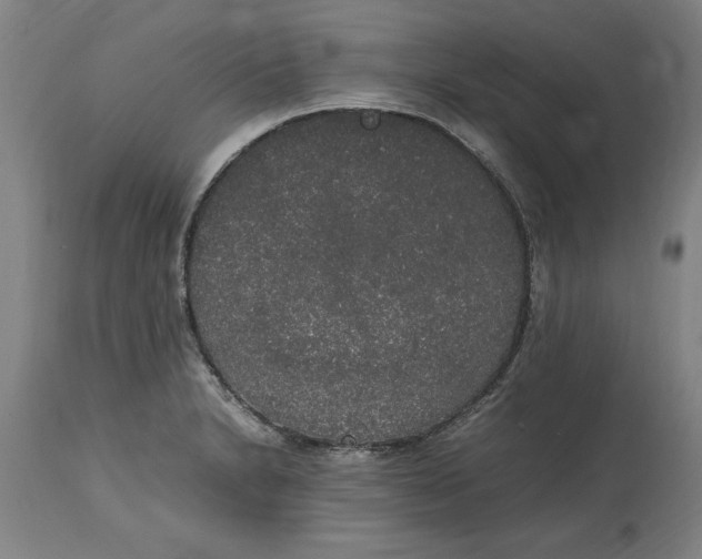 X0000114661230200911101336