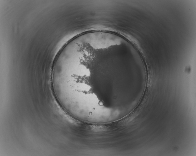 X0000114661231200911101336