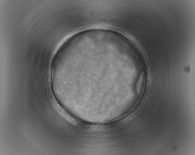 X0000114661232200911101336