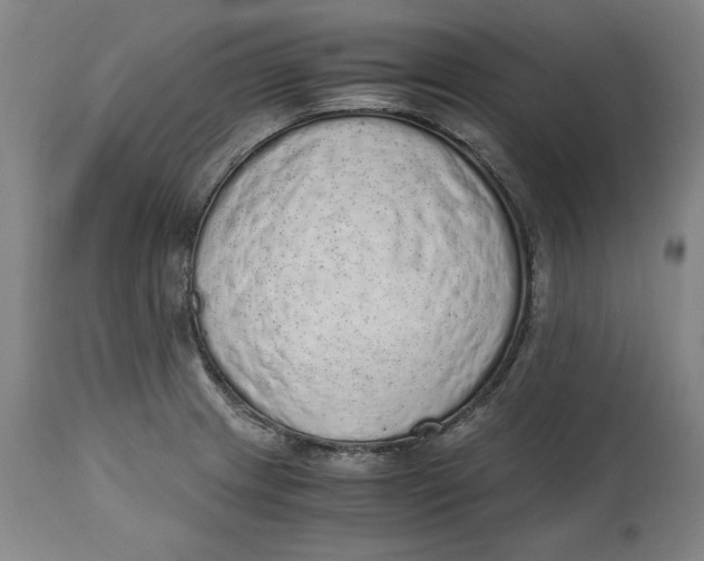 X0000114661233200911101336