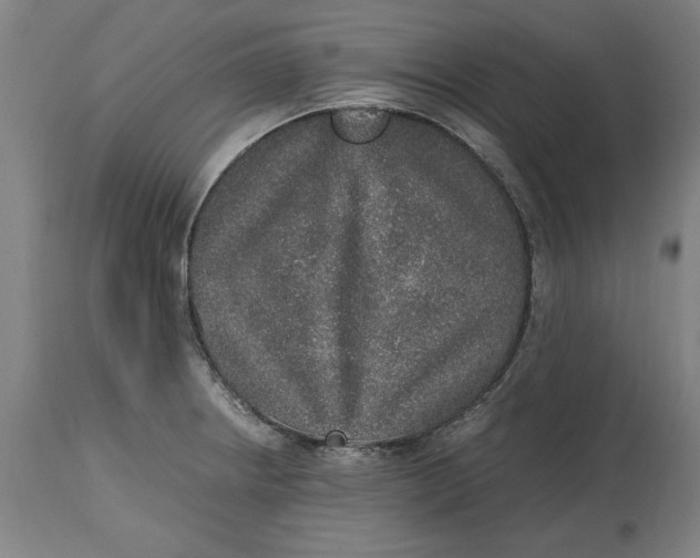 X0000114661234200911101336