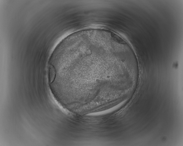 X0000114661235200911101336