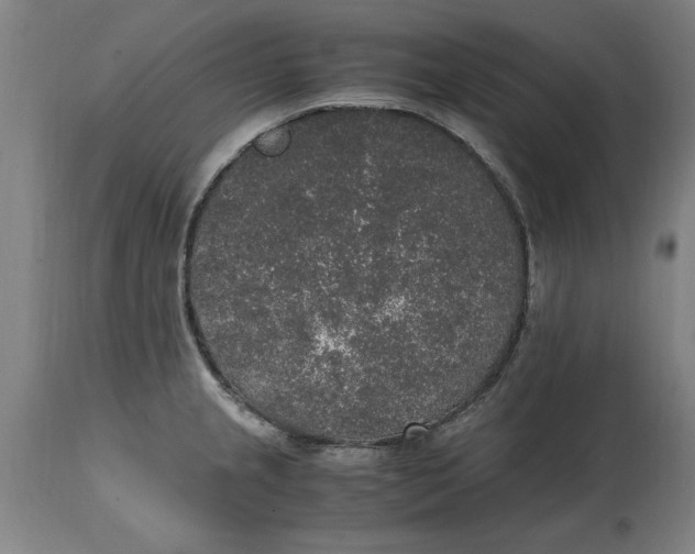 X0000114661237200911101336