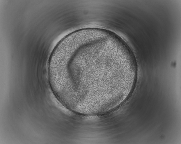 X0000114661238200911101336