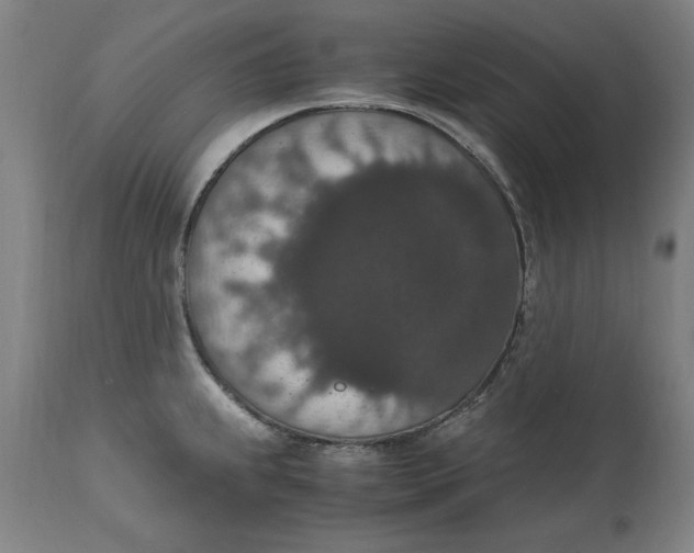 X0000114661239200911101336