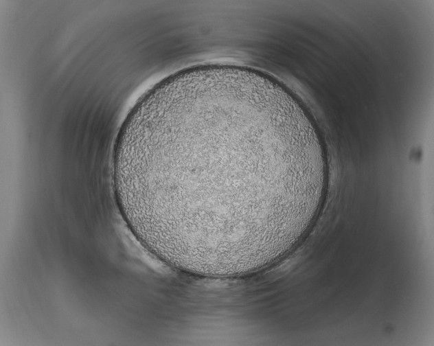 X0000114661240200911101336