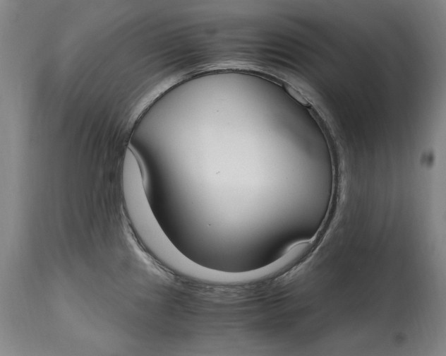 X0000114661241200911101336