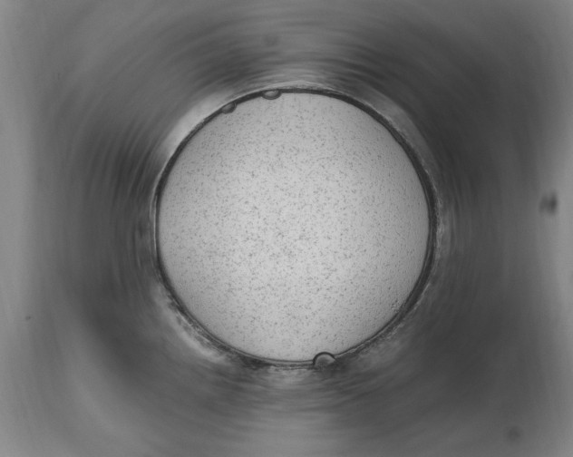 X0000114661242200911101336