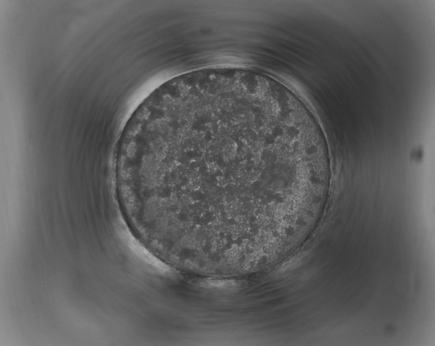 X0000114661243200911101336